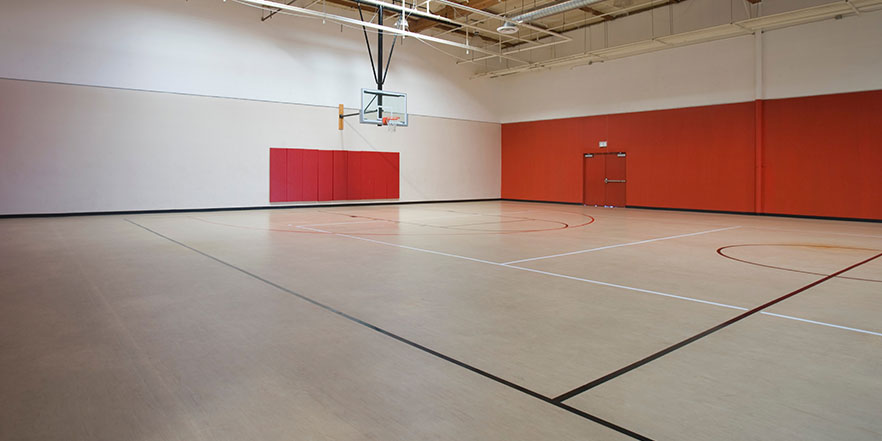 basketball court for backyard