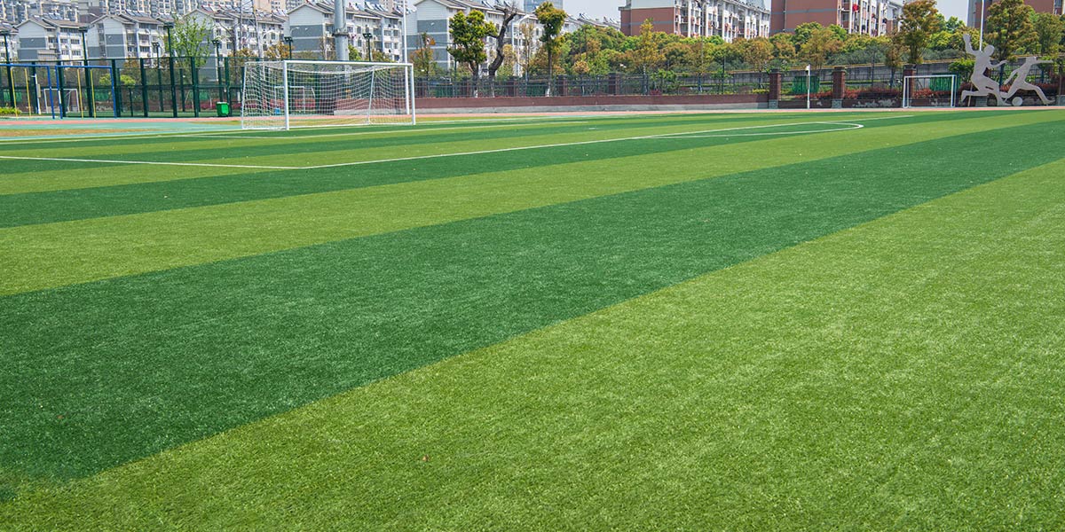 football pitch