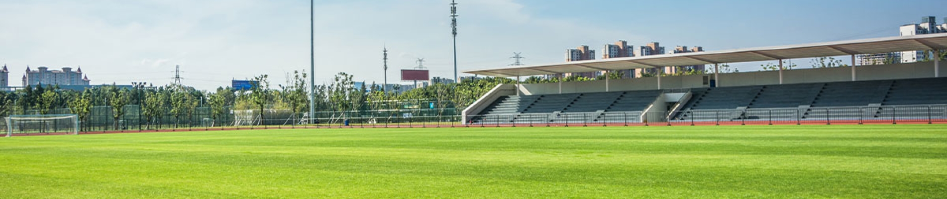 Hybrid Turf Systems