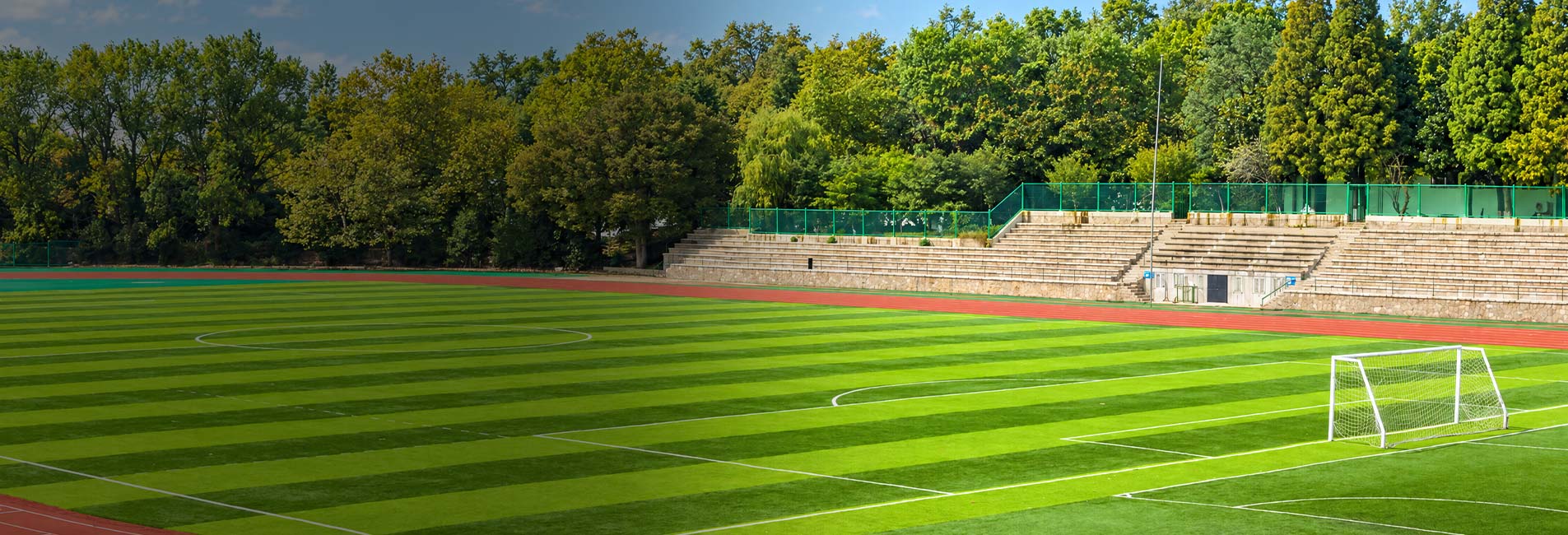 The World is Much Greener with Avengrass